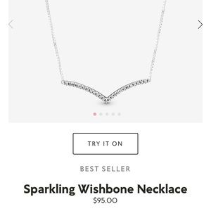 Pandora Wishbone Necklace